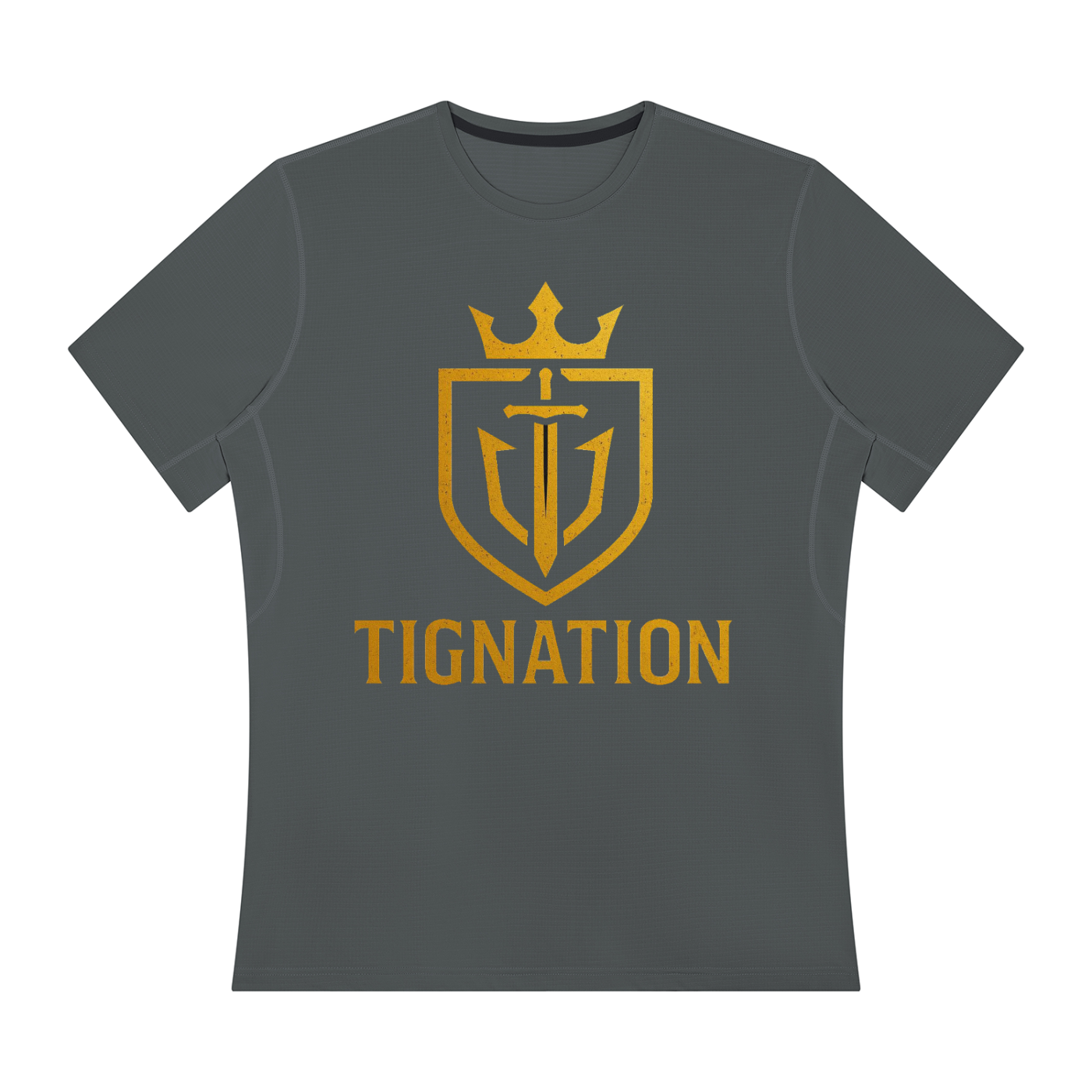 "T.I.G." Men’s Regular Fit Performance T-Shirt