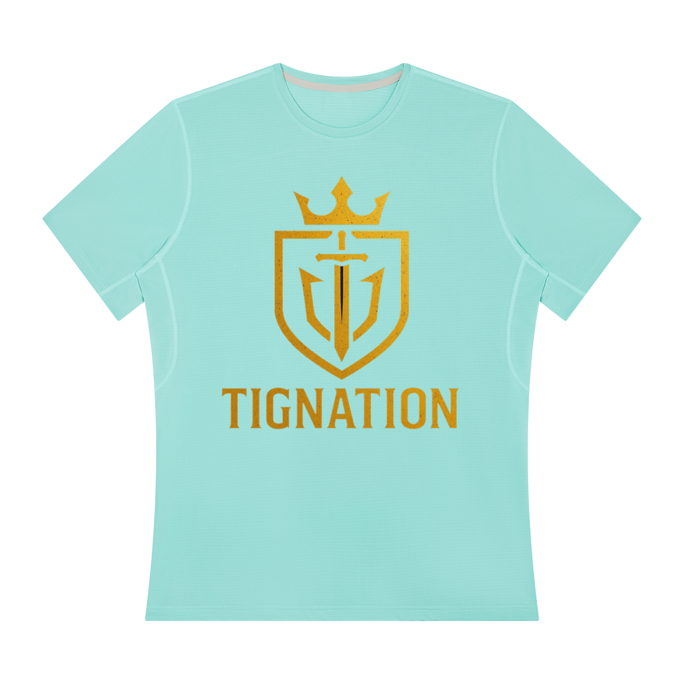 "T.I.G." Men’s Regular Fit Performance T-Shirt
