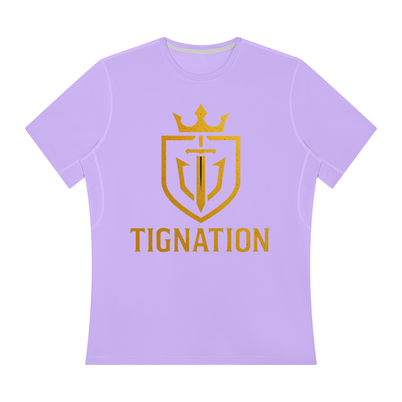 "T.I.G." Men’s Regular Fit Performance T-Shirt