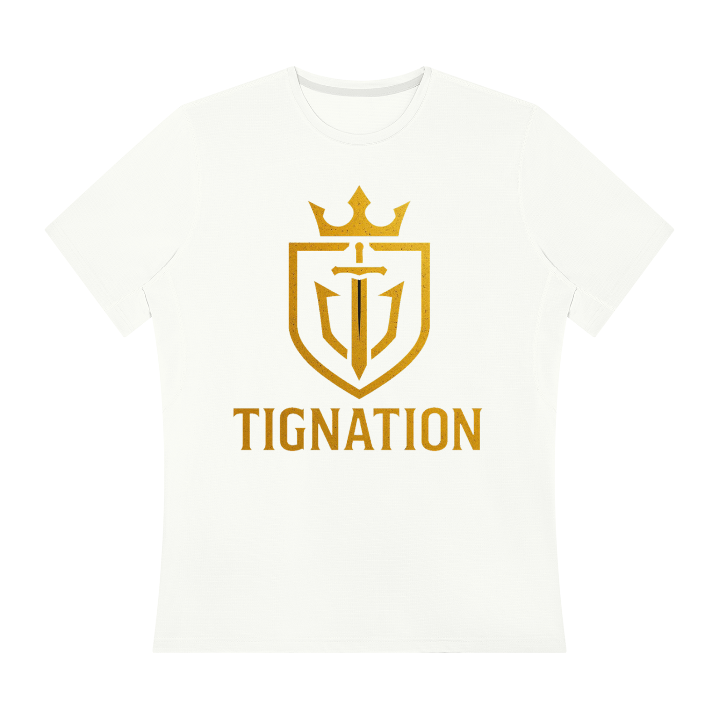 "T.I.G." Men’s Regular Fit Performance T-Shirt